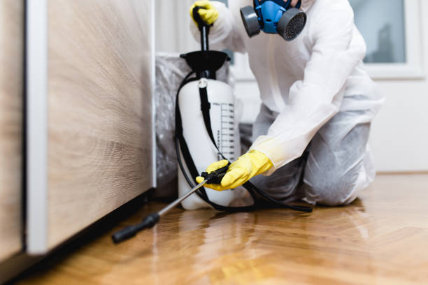 Best Best Pest Control Companies  in Poquoson, VA