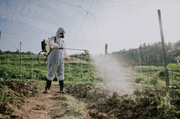 Best Best Pest Control Companies  in Poquoson, VA