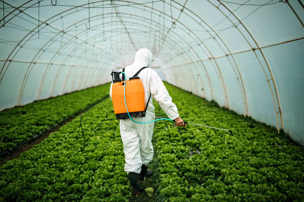 Best Affordable Pest Control Services  in Poquoson, VA