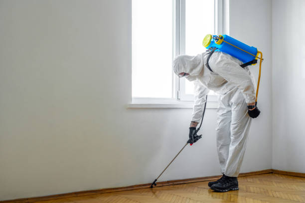 Best Pest Inspection Near Me  in Poquoson, VA