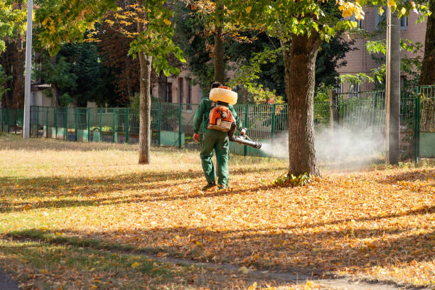 Best Pest Control Near Me in Poquoson, VA