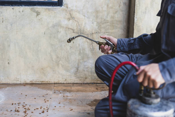 Best Wasp Removal Services  in Poquoson, VA