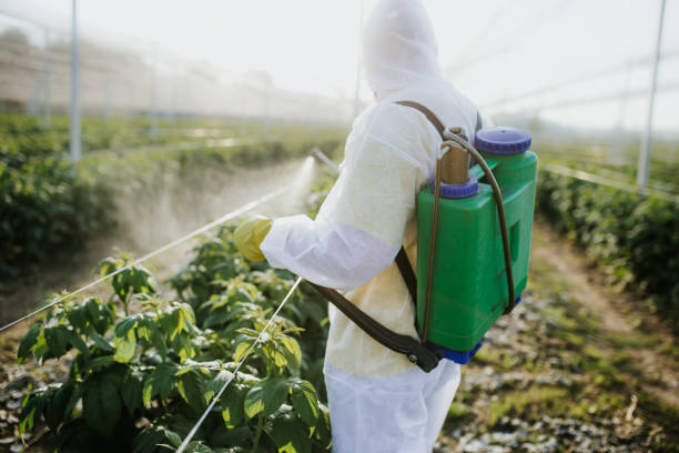 Best Termite Control Services  in Poquoson, VA